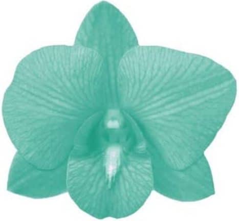 Sally Hunt Bereavement Counselling