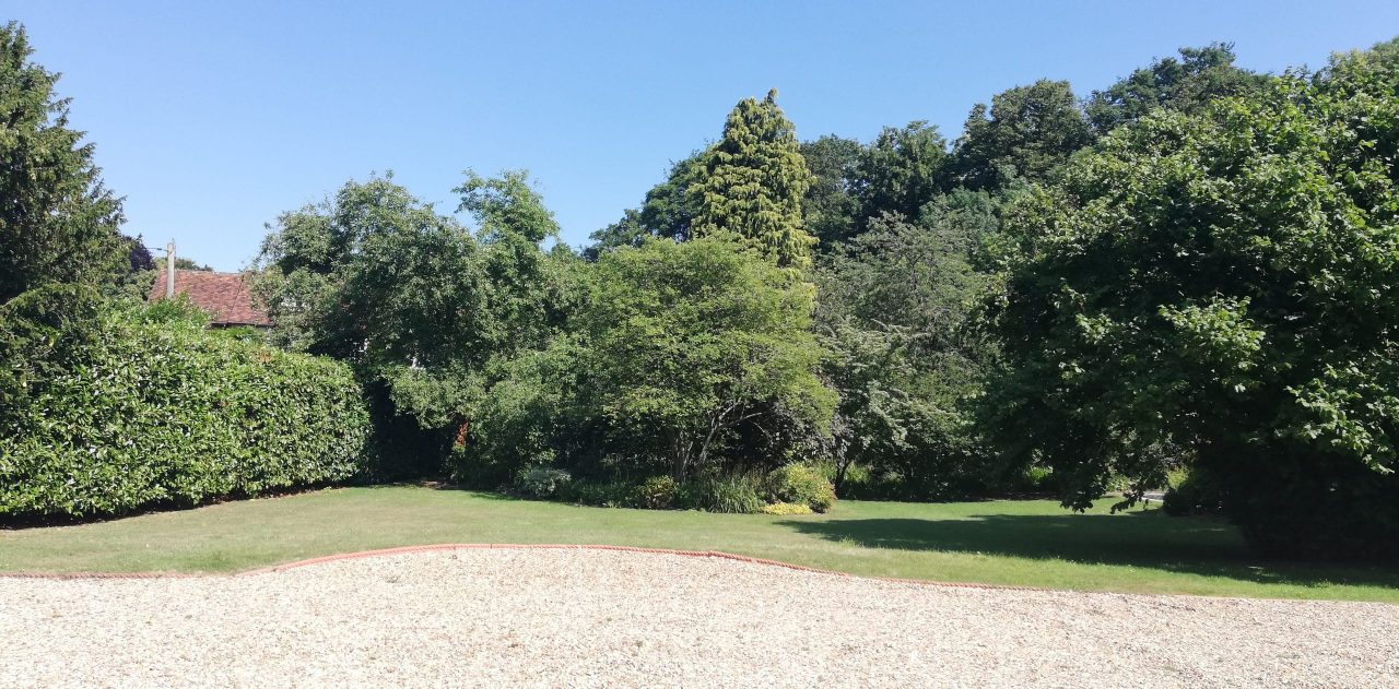 View from Sally Hunt's counselling room, Buckhold, West Berkshire