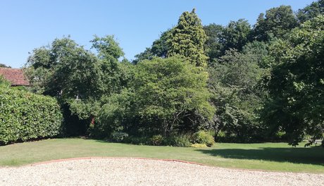 view from Counselling room, Near Pangbourne, Berkshire